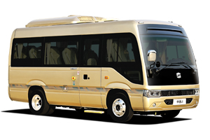 Групповой автобус 6609D